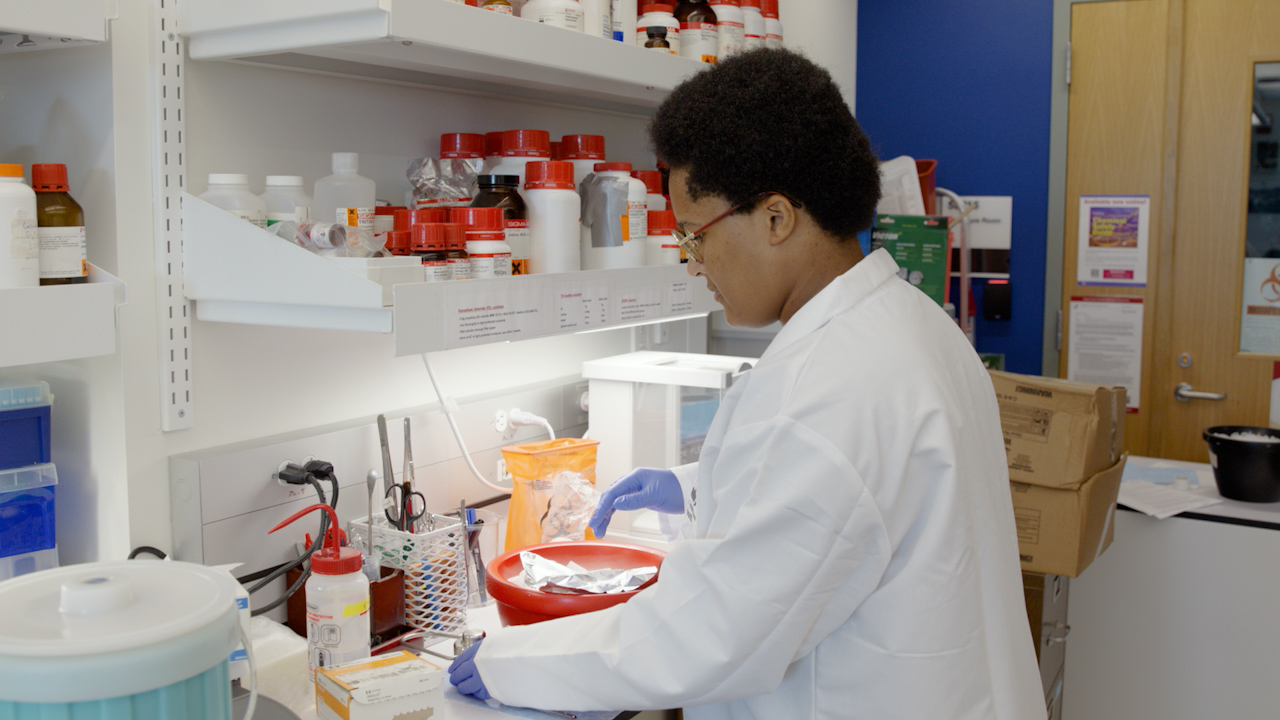 Measurement of Cyclic Guanosine Monophosphate (cGMP) in Solid Tissues using Competitive Enzyme-Linked Immunosorbent Assay (ELISA)