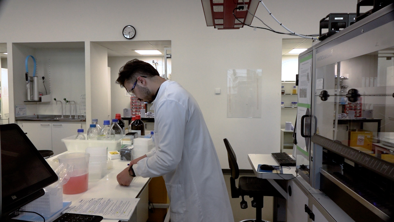 Efficient Sampling of Genetically Encoded Biosensor Design Space Enabled with a Design of Experiments and Automation Workflow