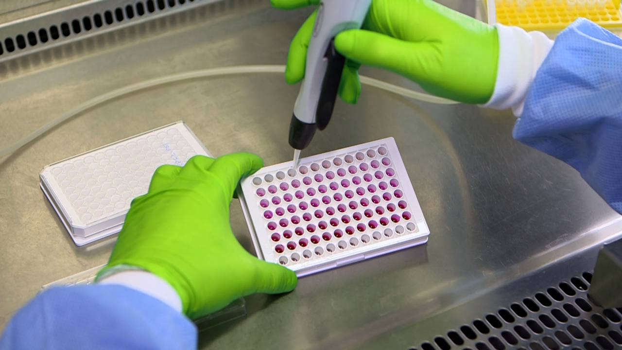 Development of an Innovative LED-based Illumination Device for <em>In Vitro</em> Application of Photodynamic Therapy with Rose Bengal