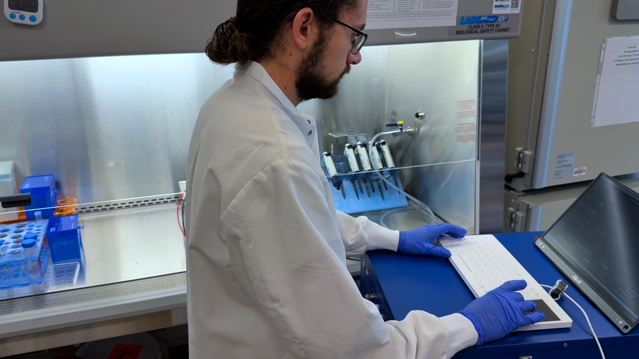 High-Throughput Capable Three-Dimensional Tissue Model for Quantification of Electroporation Thresholds