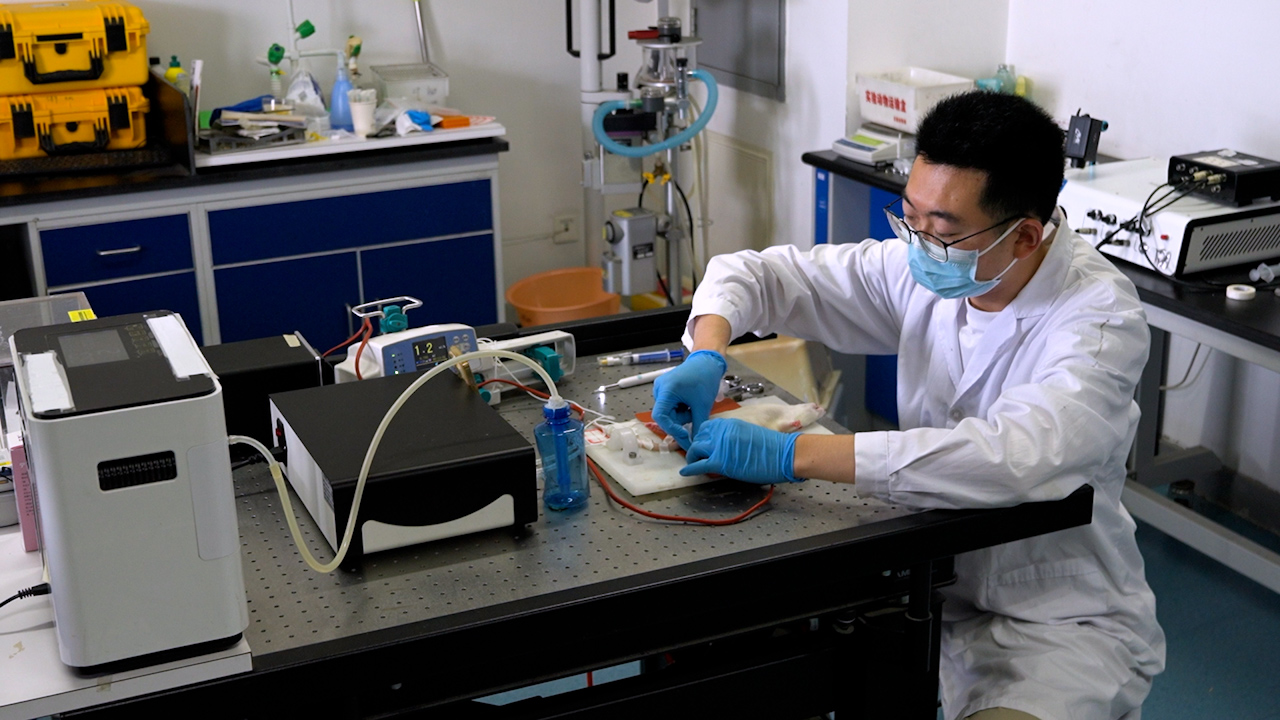 A Structured Approach to Extubation in Mechanically Ventilated Rats