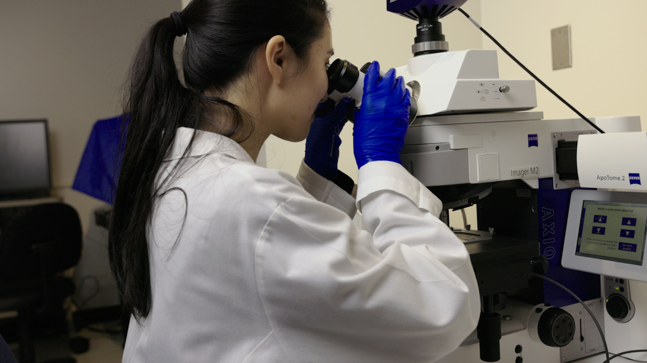 Examination of Anatomical Features of Retinal Ganglion Cells Under N-methyl-D-aspartic Acid (NMDA)-induced Excitotoxicity