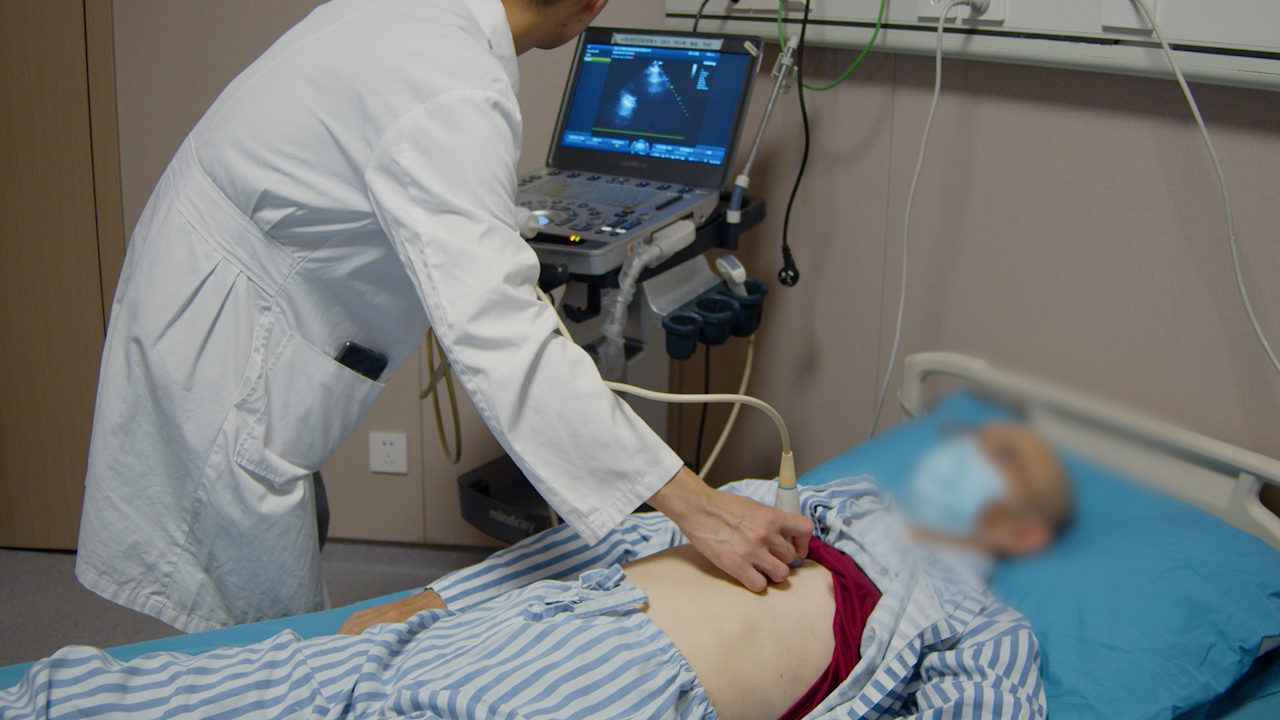 The Application of Point-of-Care Ultrasonography (POCUS) in the Management of Acute Respiratory Distress Syndrome (ARDS) in the Intensive Care Unit