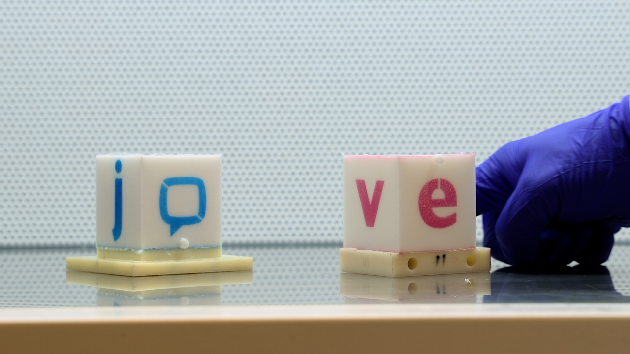 Applying Permanent, Robust Stenciled Patterns of Fine Particles to Elastomeric Surfaces