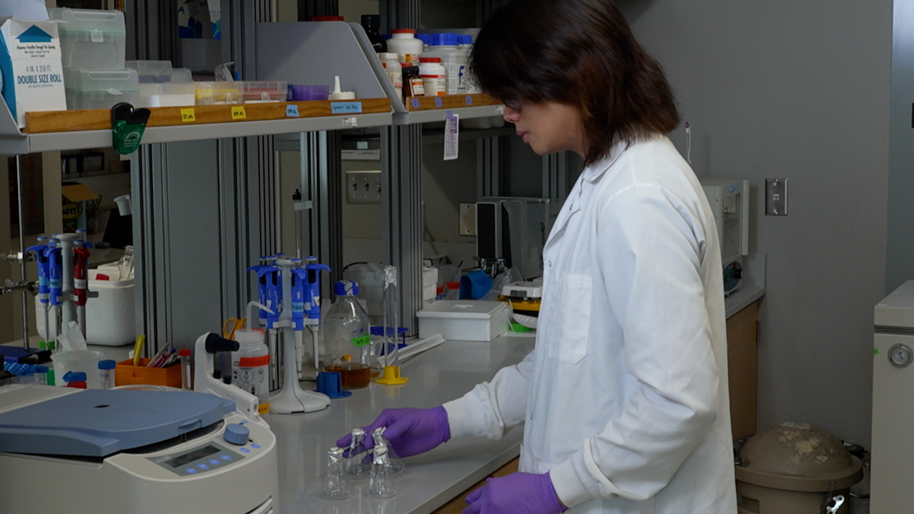 Overexpressing and Purifying a Toxic Nuclease from <em>Escherichia coli</em>