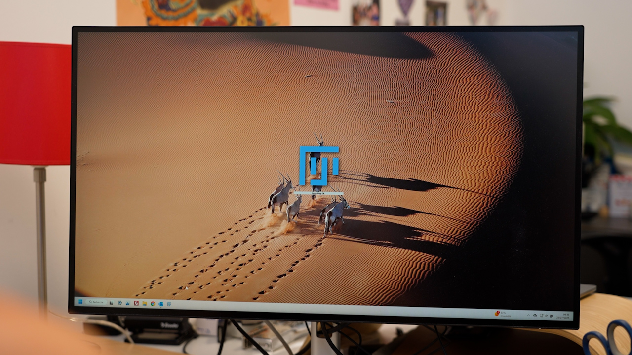 LEXY 및 LINuS 광유전학 도구 및 자동화된 이미지 분석을 사용하여 살아있는 세포의 핵세포질 수송 역학을 정량화합니다.