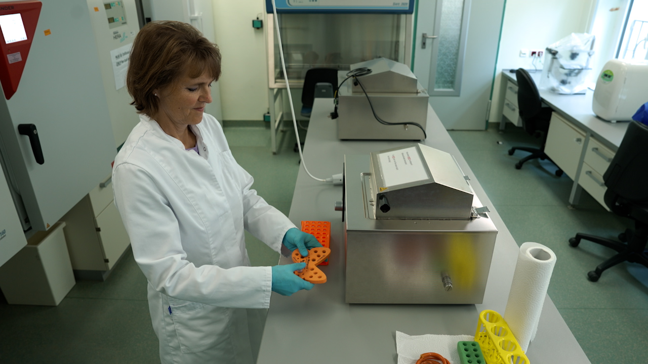 A Modified Co-Culture System for Understanding Granulosa-Theca Cell Interactions in the Bovine Ovary