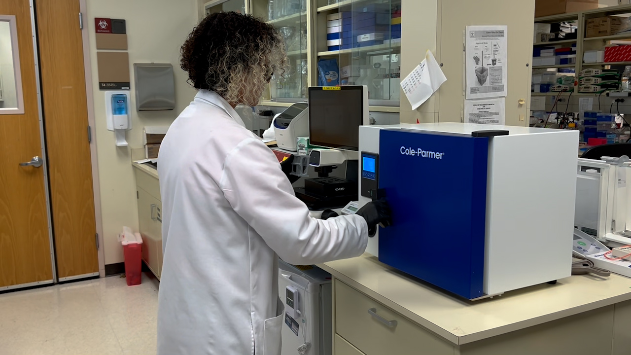 MicroRNA Amplification and Recognition through Locked-nucleic-acid <em>In situ</em> Hybridization as A Novel Detection and Quantification Method