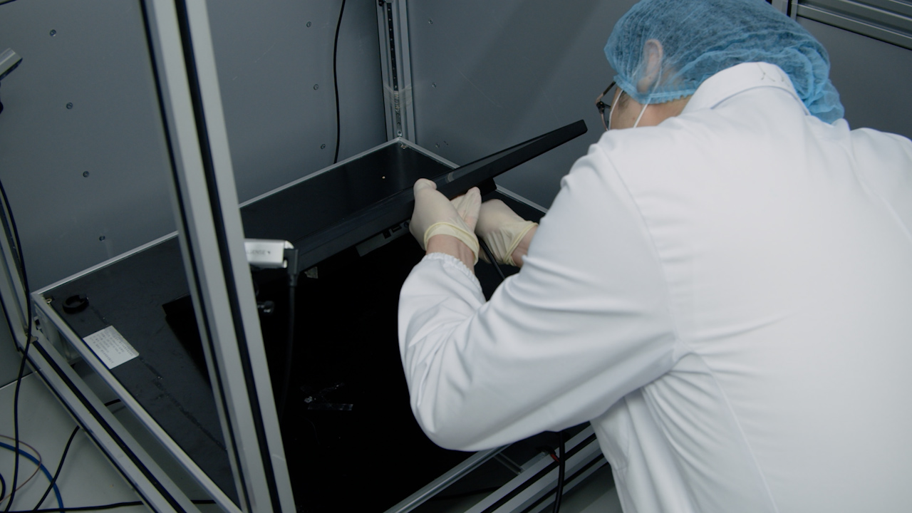 Decoding Natural Behavior from Neuroethological Embedding