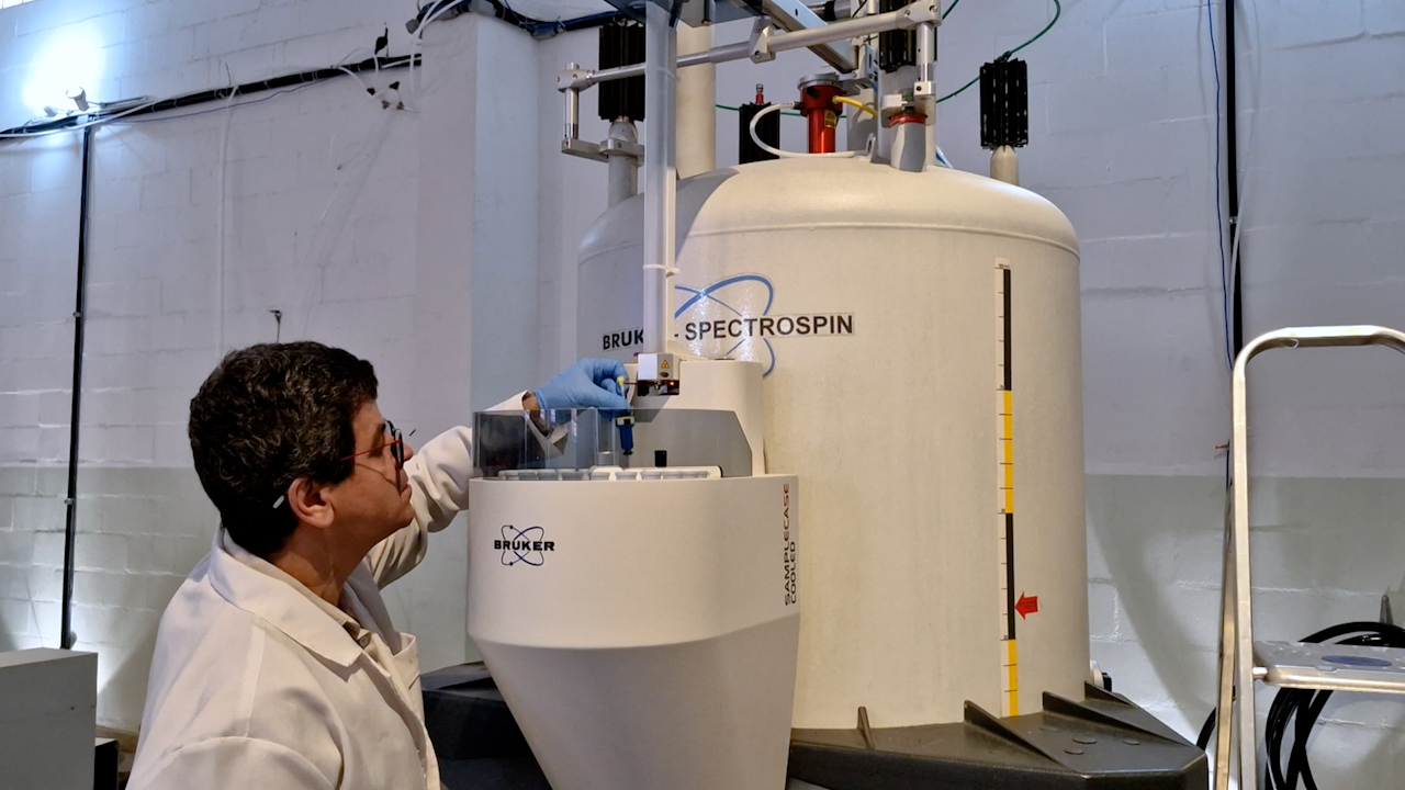 Exploring Protein-Glycan Interactions: Advances in Nuclear Magnetic Resonance