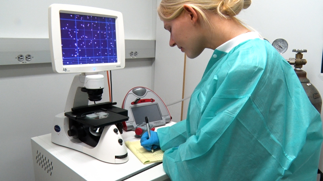 Um método minimamente invasivo para gerar um modelo ortotópico singênico de câncer de pulmão em camundongos