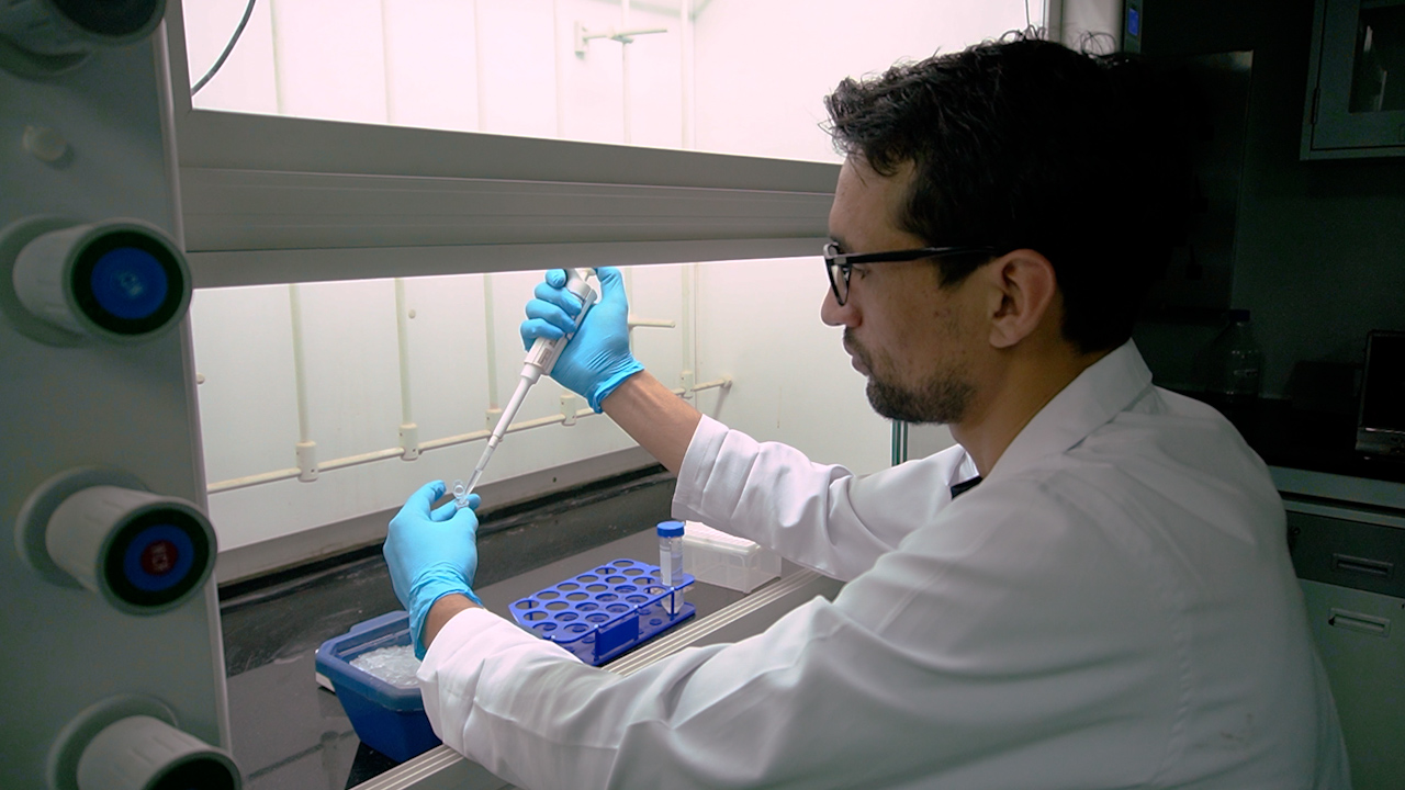 Non-Invasive Endotracheal Administration of Lipopolysaccharide to Induce Acute Lung Injury in Rodents