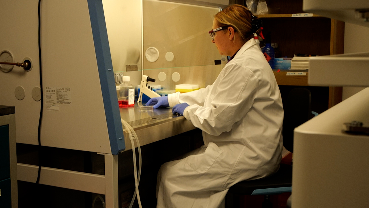 3D Flipwell Engineering for Developing Asynchronous Systems for Toxicologic and Immunomodulatory Therapies in Bacterial, Gut, and Immune Cells