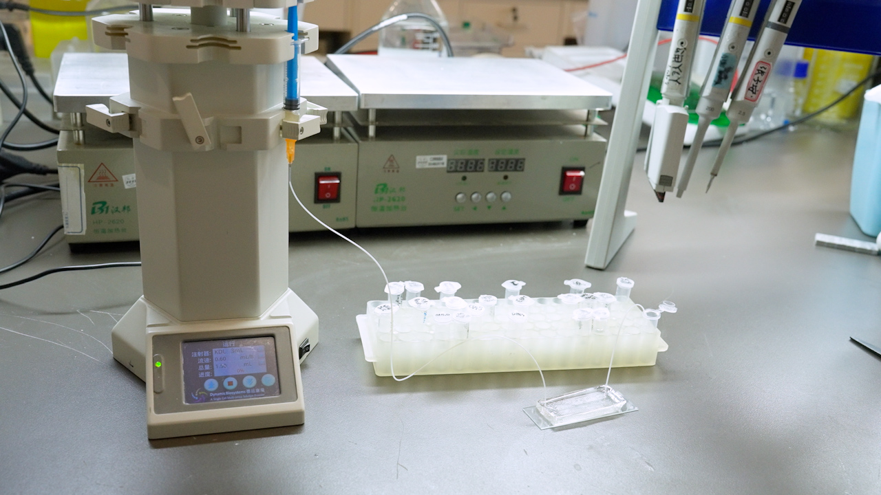 Microfluidics-based High-throughput Circulating Tumor Cell Sorting and Single-cell Sequencing Technology