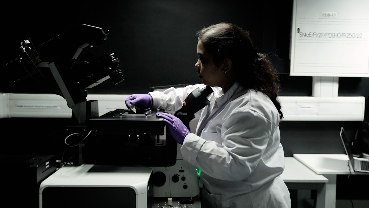 Drug-Induced Senescence in Liver Cells Promotes M2 Macrophage Polarization: Implications for Tyrosine Kinase Inhibitor-Associated Hepatotoxicity