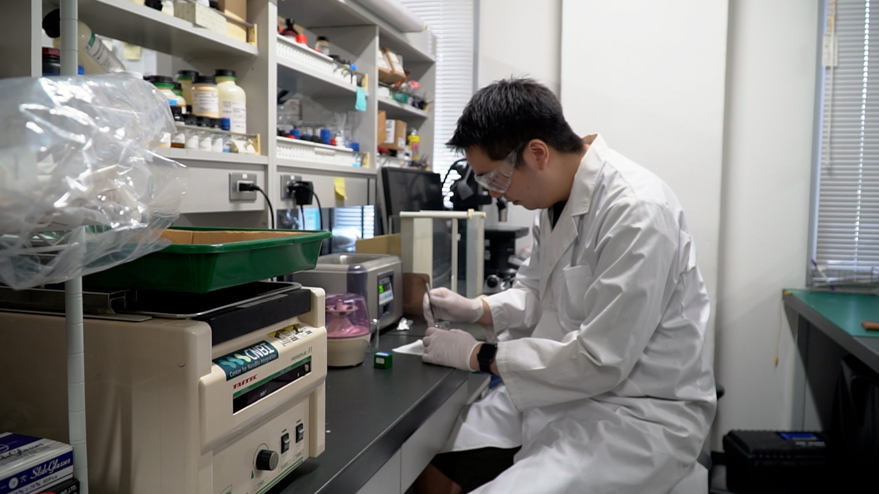 Fabrication of a Solution-gated Indium-Tin-Oxide-based One-piece Transistor Enabling Sensitive Biosensing