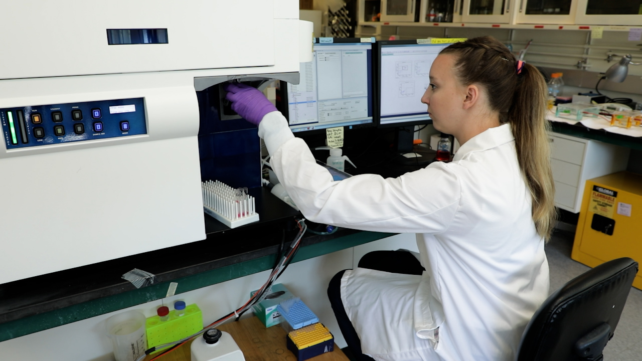 Facial Vein Venipuncture for Murine Blood Collection