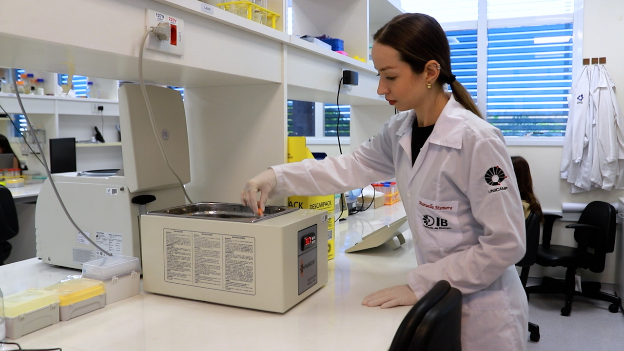 Murine Model of Leukemia Relapse to Induction Chemotherapy for Acute Lymphoblastic Leukemia