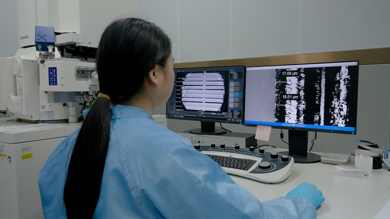 走査型電子顕微鏡互換光学イメージング法によるメソスコーピック全細胞脳マッピング