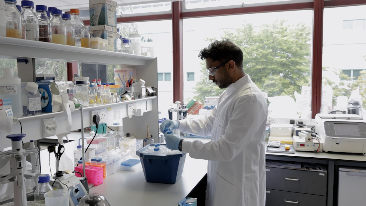 Refinement of OnePot PURE and Crude Ribosome Production for Reproducible Cell-free Protein Synthesis