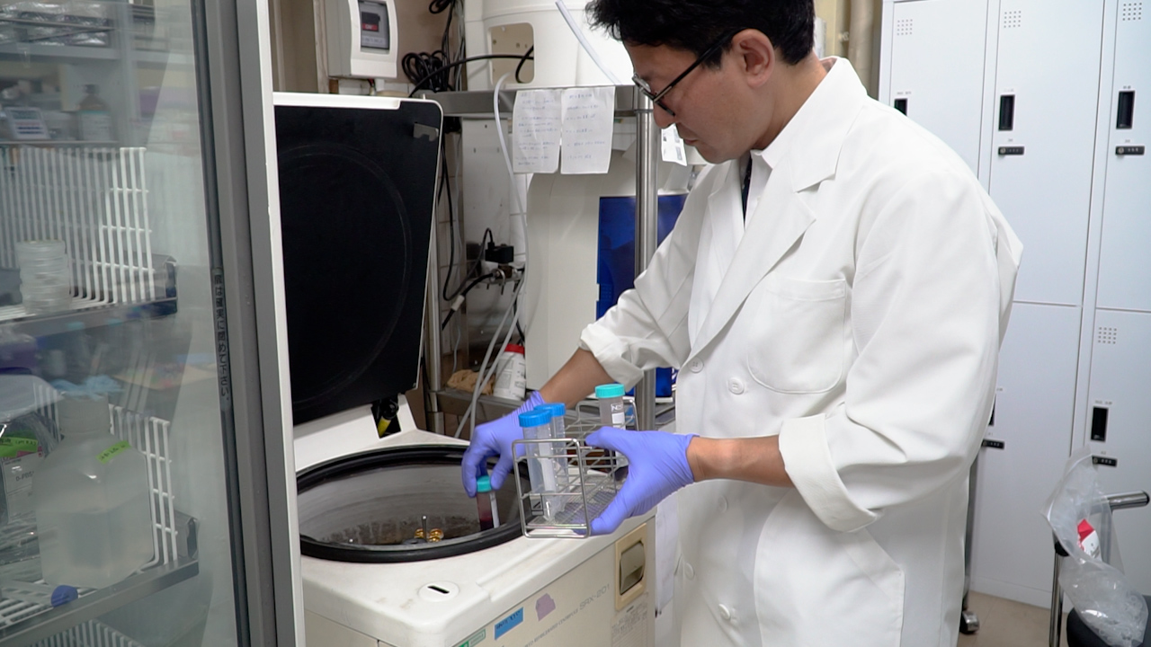 Stimulation of Vascular Endothelial Cells Using Neutrophil Extracellular Traps in the Presence of Low-Density Lipoprotein