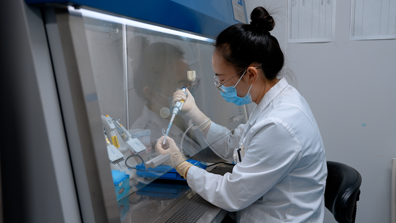 Advancements in the Metabolic Profiling of Three-Dimensional Brain Tumor Spheroids for Drug Screening