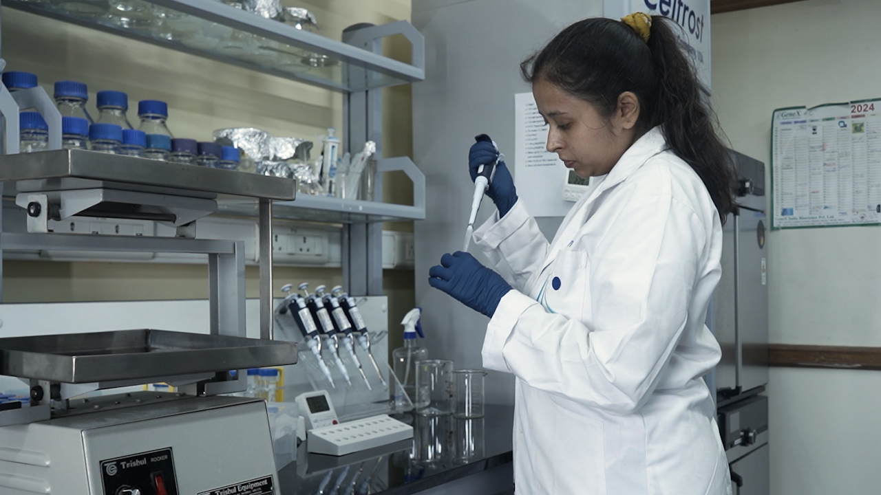 Dissection of Zebrafish Craniofacial Tissues Upon Staining with Alcian Blue