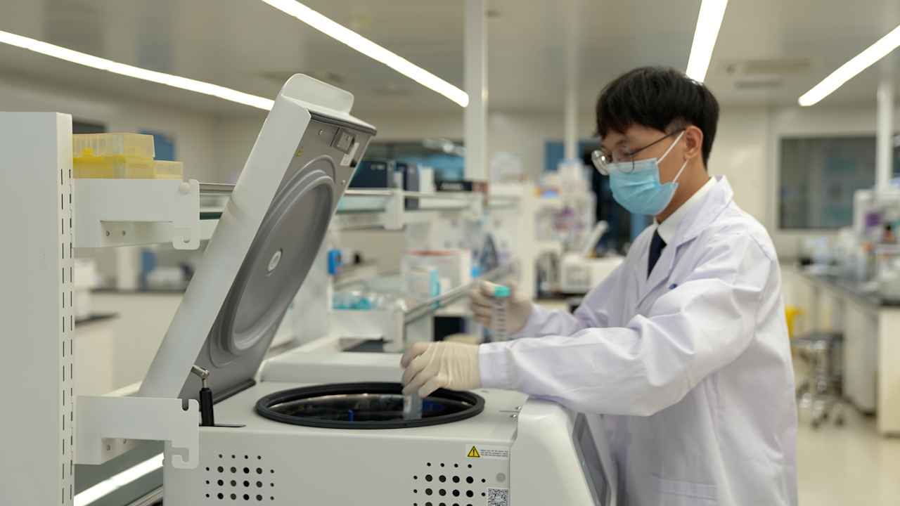 A Quantitative Assessment of the Phagocytosis of Allogeneic and Xenogeneic Erythrocytes by Rat Macrophages <em>In Vitro</em>