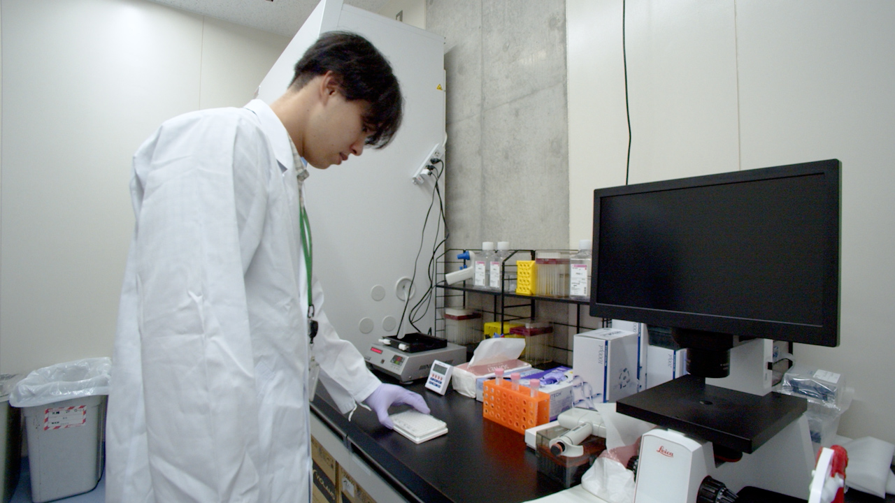 Developmental Toxicity Assay Based on Real-Time Monitoring of Fibroblast Growth Factor Signal Disruption in Human Induced Pluripotent Stem Cells