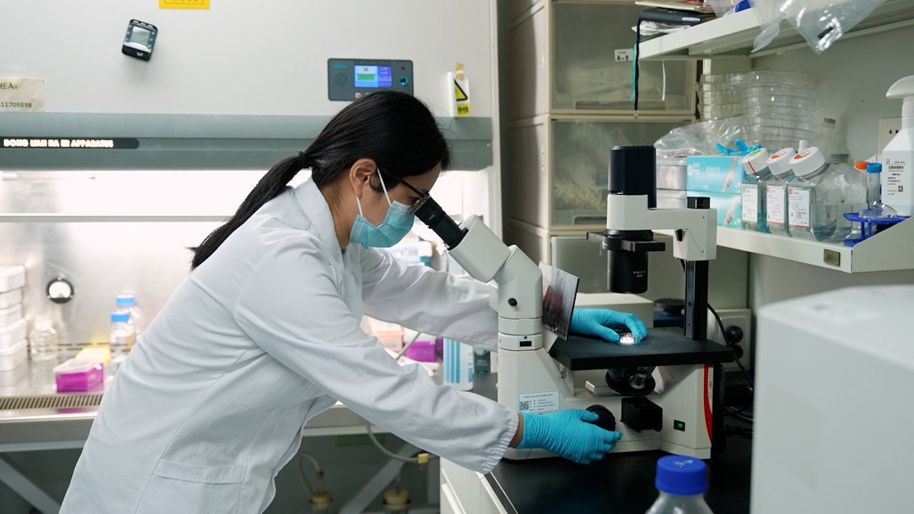 Microfluidic Chip for Axonal Injury Models Construction and Enabling Multi-Omics Analysis