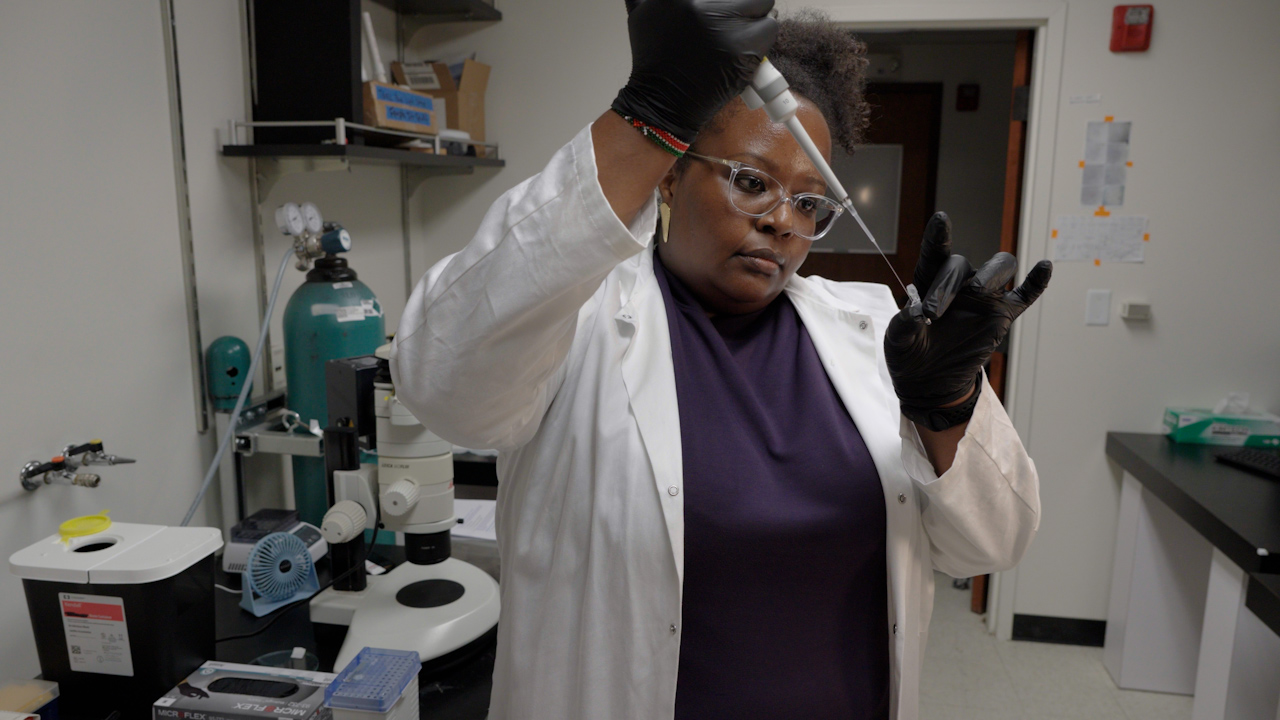 CRISPR-Cas9-based Mutagenesis in the Entomopathogenic Nematode <em>Steinernema hermaphroditum</em> and the Maintenance of Mutant Lines