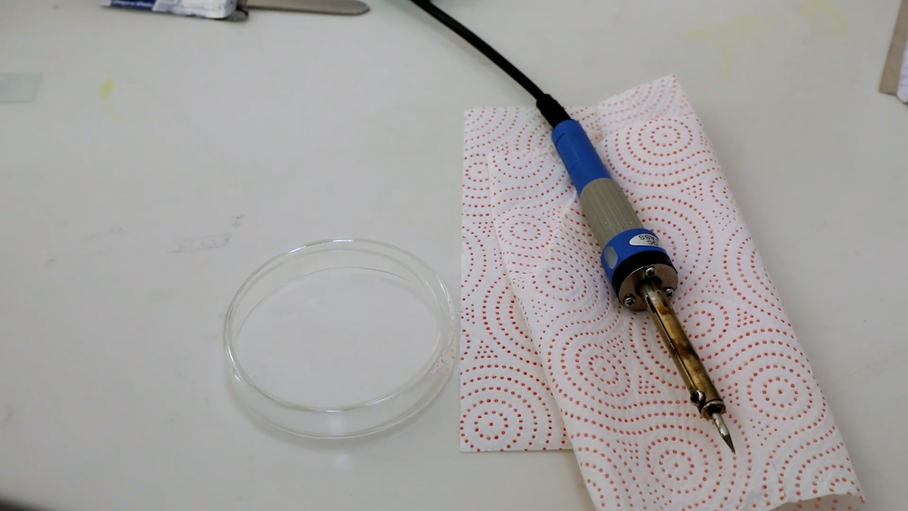 Extraction of Saliva, Haemolymph, Salivary Glands, and Midgut from Individual Ticks (Acari: Ixodidae)