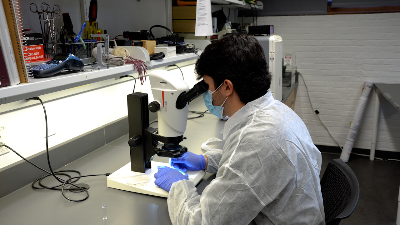 Age-dependent Dynamics of Locomotion in Caenorhabditis elegans: A Lyapunov Exponent Analysis