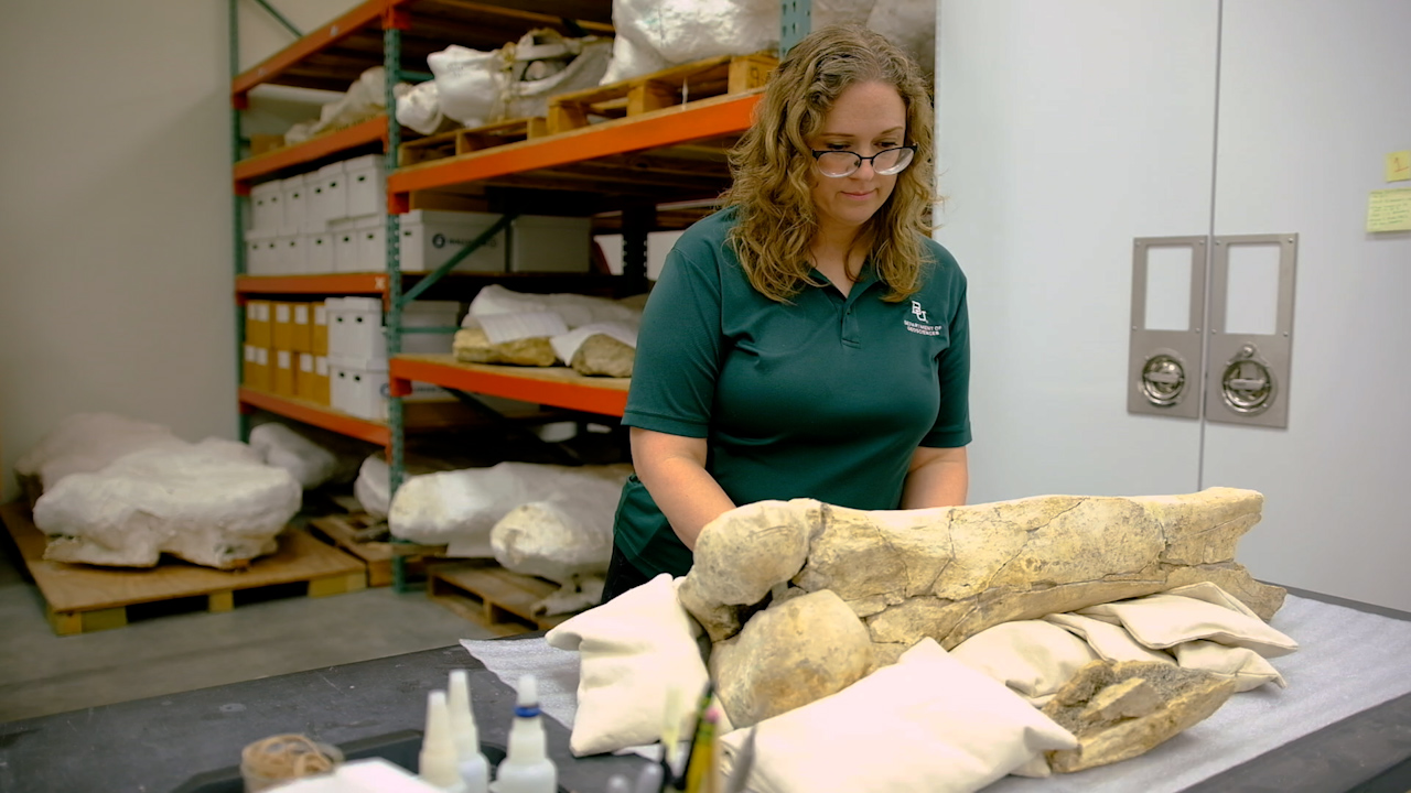 Using Archival Japanese Paper and Thermoplastic Resins to Prepare Fossils for Storage, Display, Transport, and Radiography