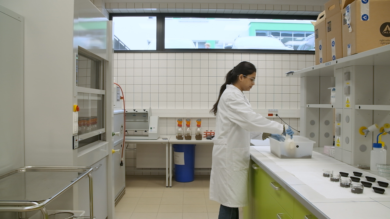 Assessment of Waste-Derived Biochars on the Health and Biological Activity of Soil