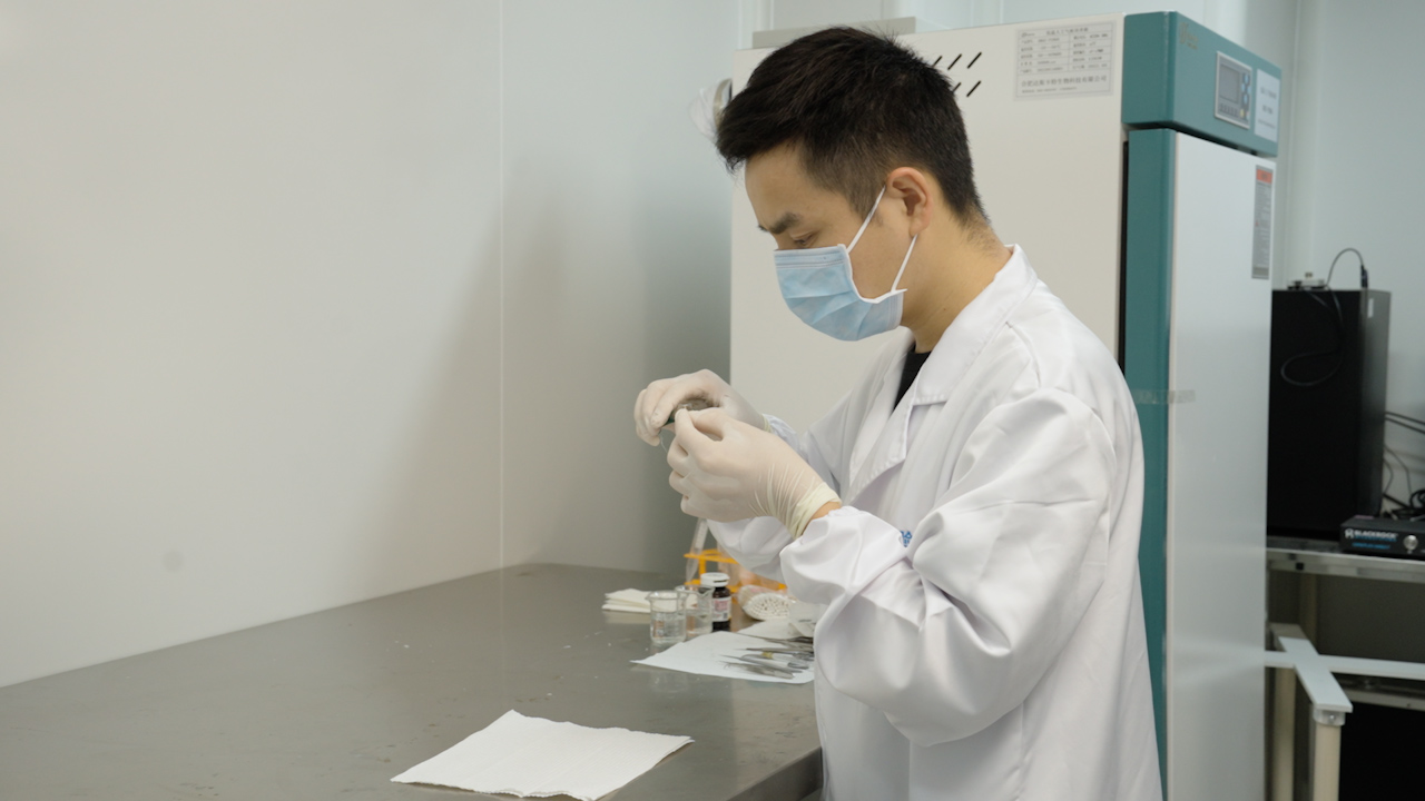 Precision Induction and Distinction of Coughing and Sneezing Reflexes in Mice