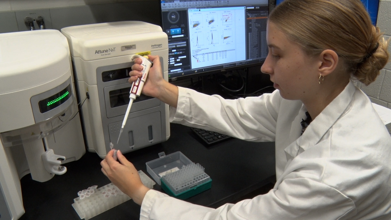An Optimized LIVE/DEAD Assay Coupled with Flow Cytometry for Quantifying Post-Stress Survival in Yeast Cells