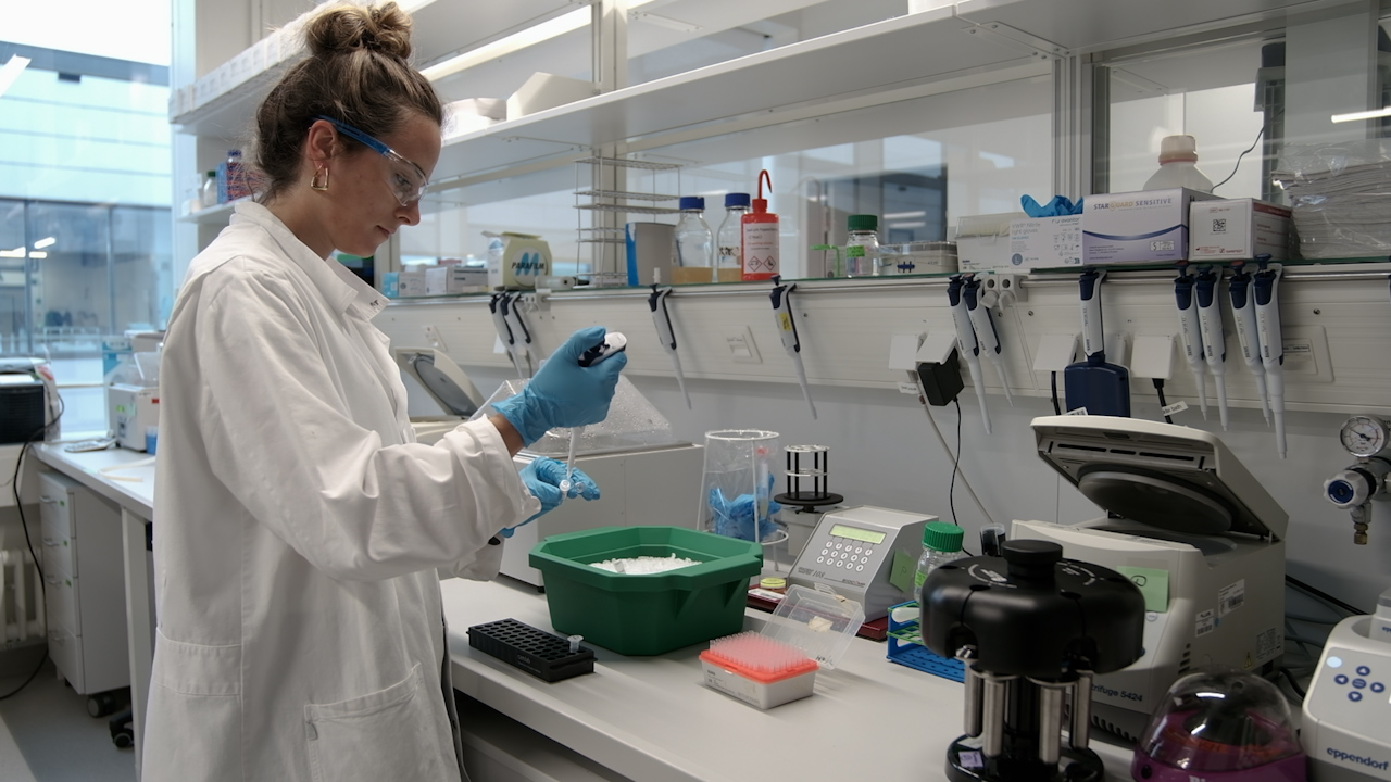 Precise Phage Mutagenesis with NgTET-Assisted CRISPR-Cas Systems