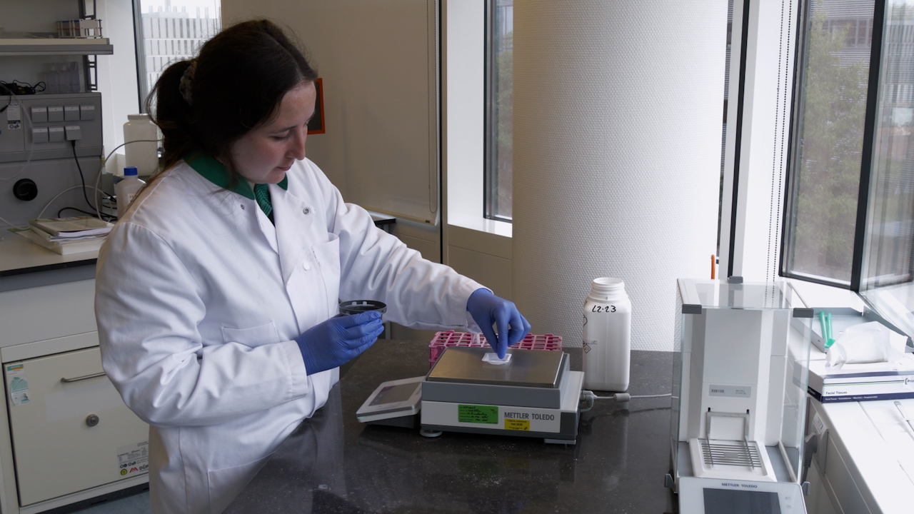 Generation of Human Induced Pluripotent Stem Cell-derived Planar Hair-bearing Skin Organoids Using an Air-Liquid Interface Culture System