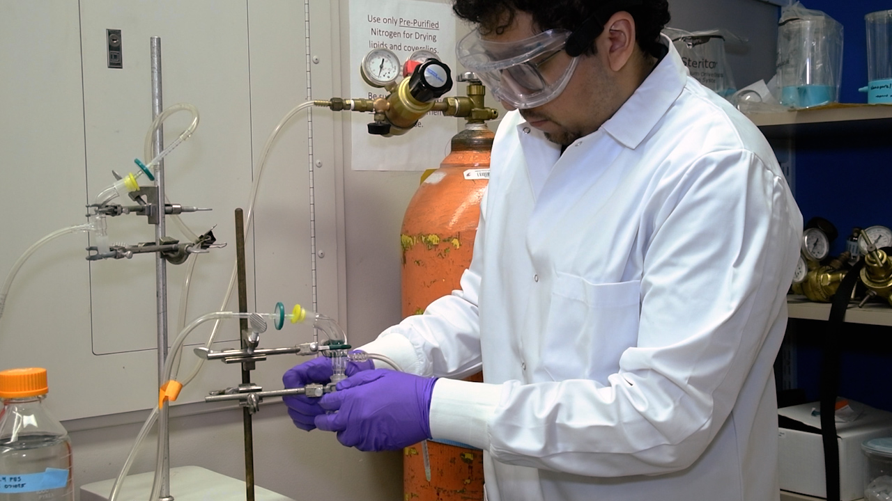 Tracking Single Proteins in Lipid Bilayers Using Fluorescence Microscopy