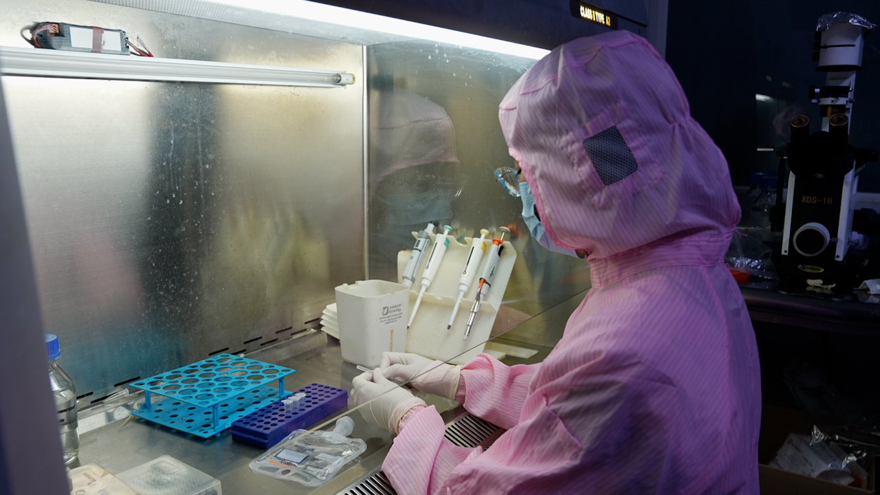 A Refined Aerosol-Based Intratracheal Bleomycin Delivery Method for Reproducible and Minimally Invasive Mouse Models of Pulmonary Fibrosis