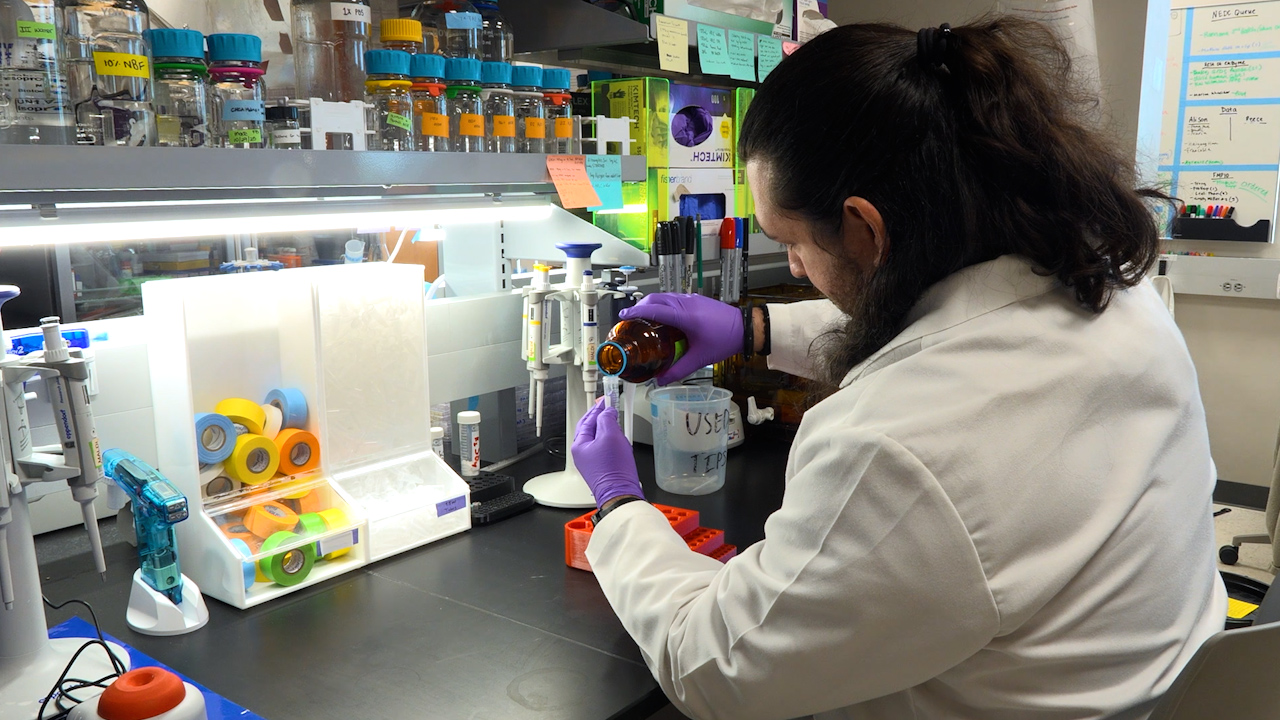 Spatial Molecular Imaging of the Glycome Using Mass Spectrometry