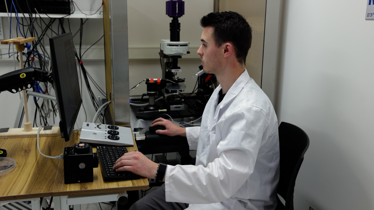 Dynamic Clamp Methods to Investigate Impaired Neuronal Excitability Associated with Autism