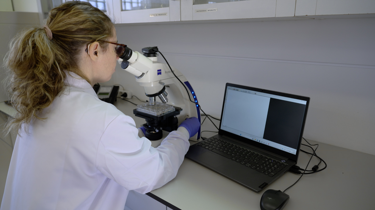 Assessing Gastrointestinal Motility in Caenorhabditis elegans RAC1/CED-10 Mutants as a Tool to Study Early Parkinson’s Disease