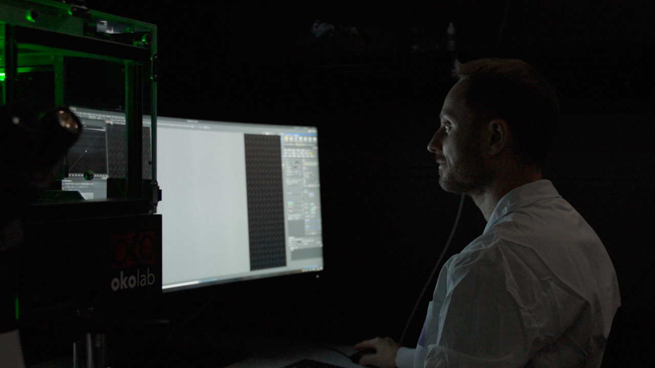 Live-cell Imaging of Endocytic Transport using Functionalized Nanobodies in Cultured Cells