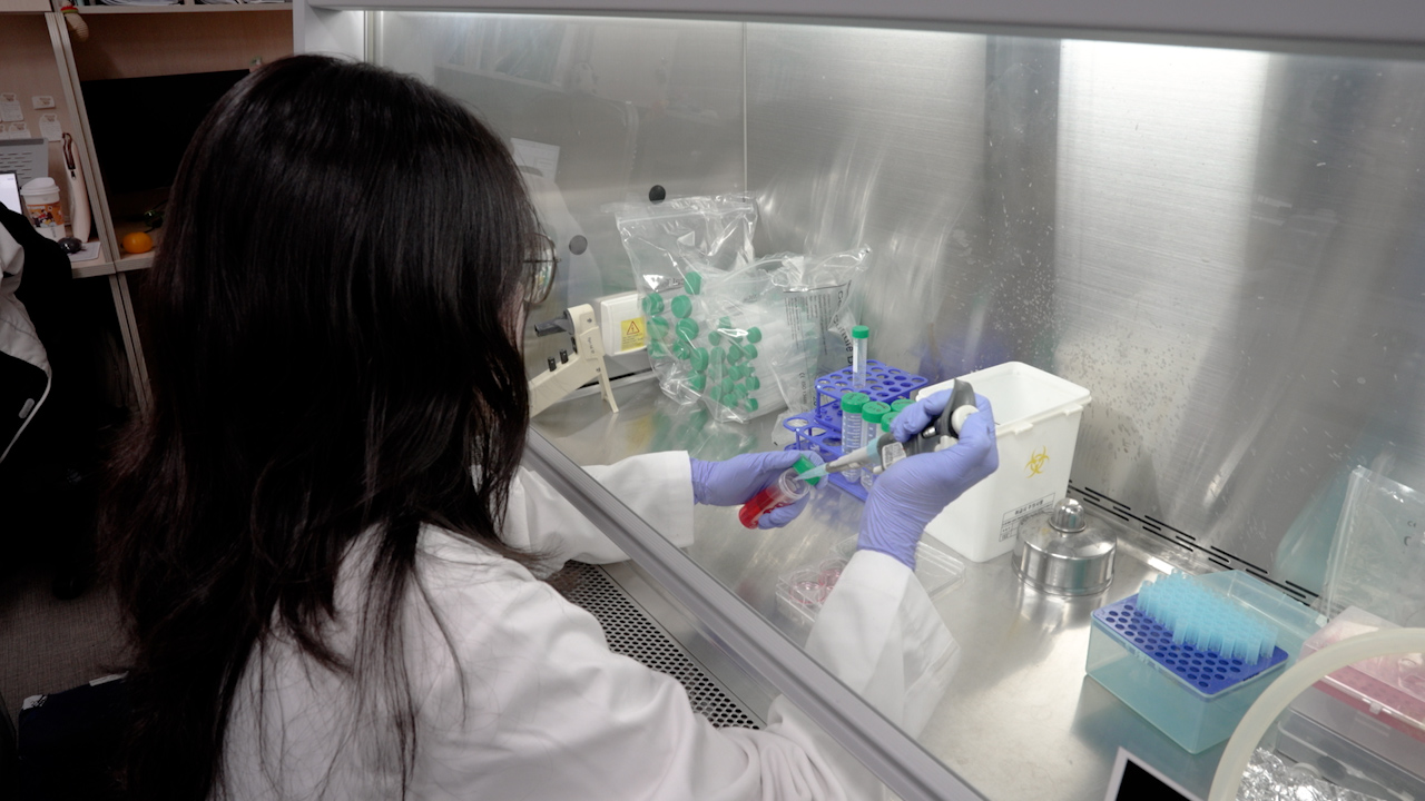 Оптимизированная количественная оценка стабильности энхансерной РНК в эмбриональных стволовых клетках мышей