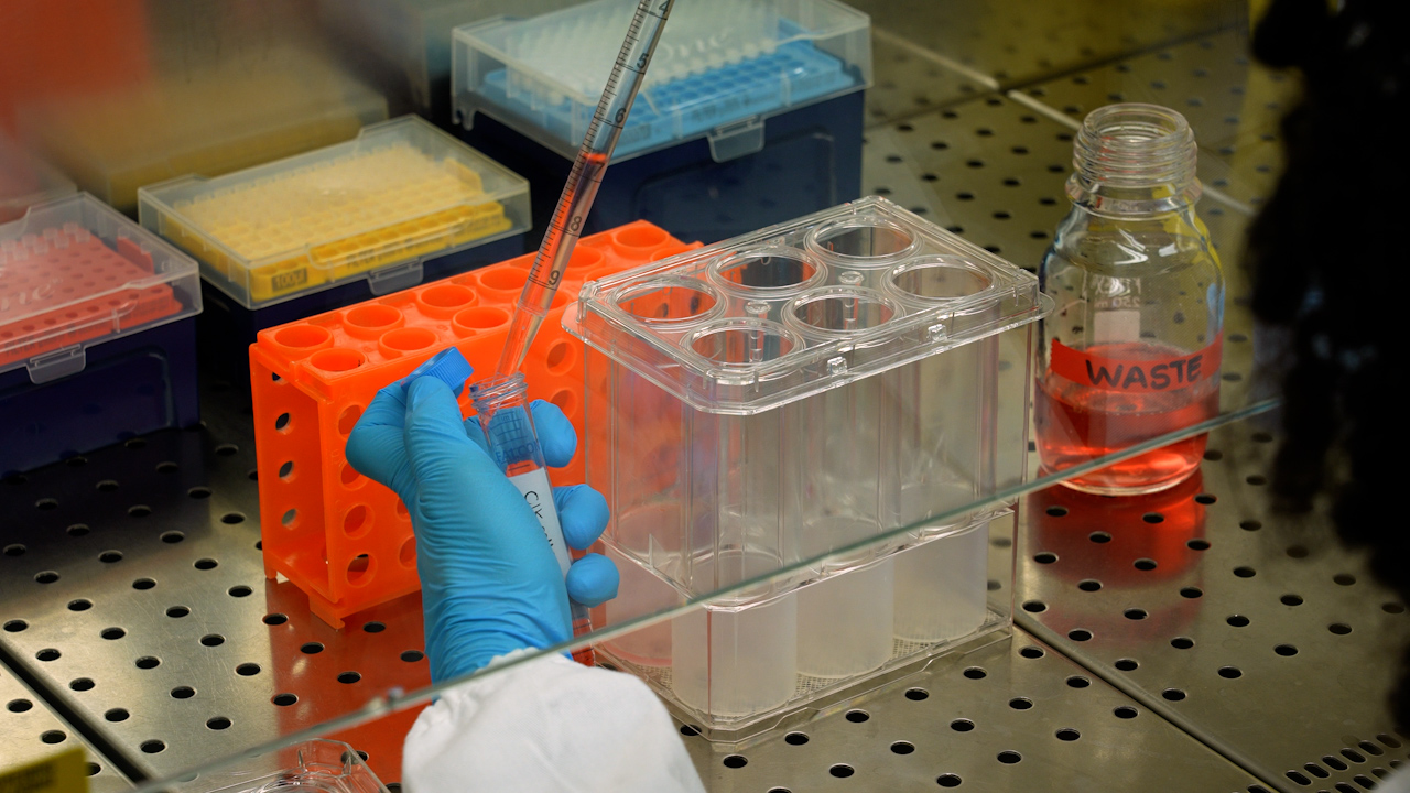 Efficient and Rapid Generation of CAR-T and Cytokine-Induced Killer Cells in GMP-scalable Devices