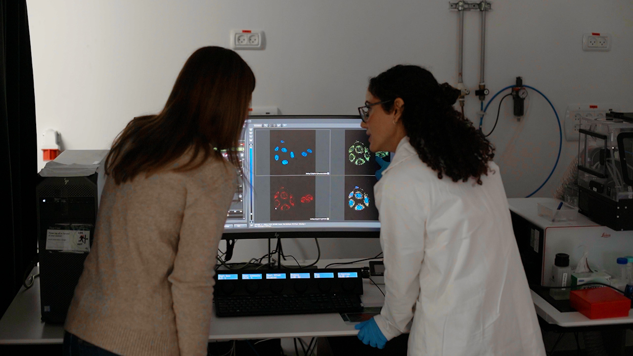 Peroxisome Staining in Mammalian Cells Using Peroxisome-Specific Probes