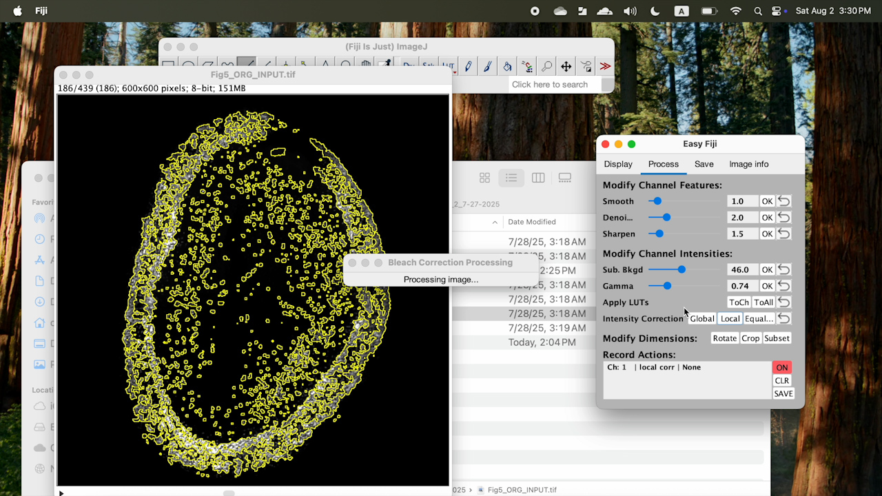 EasyFiji: A Graphical Interface for User-Friendly Fluorescence Image Processing in Fiji