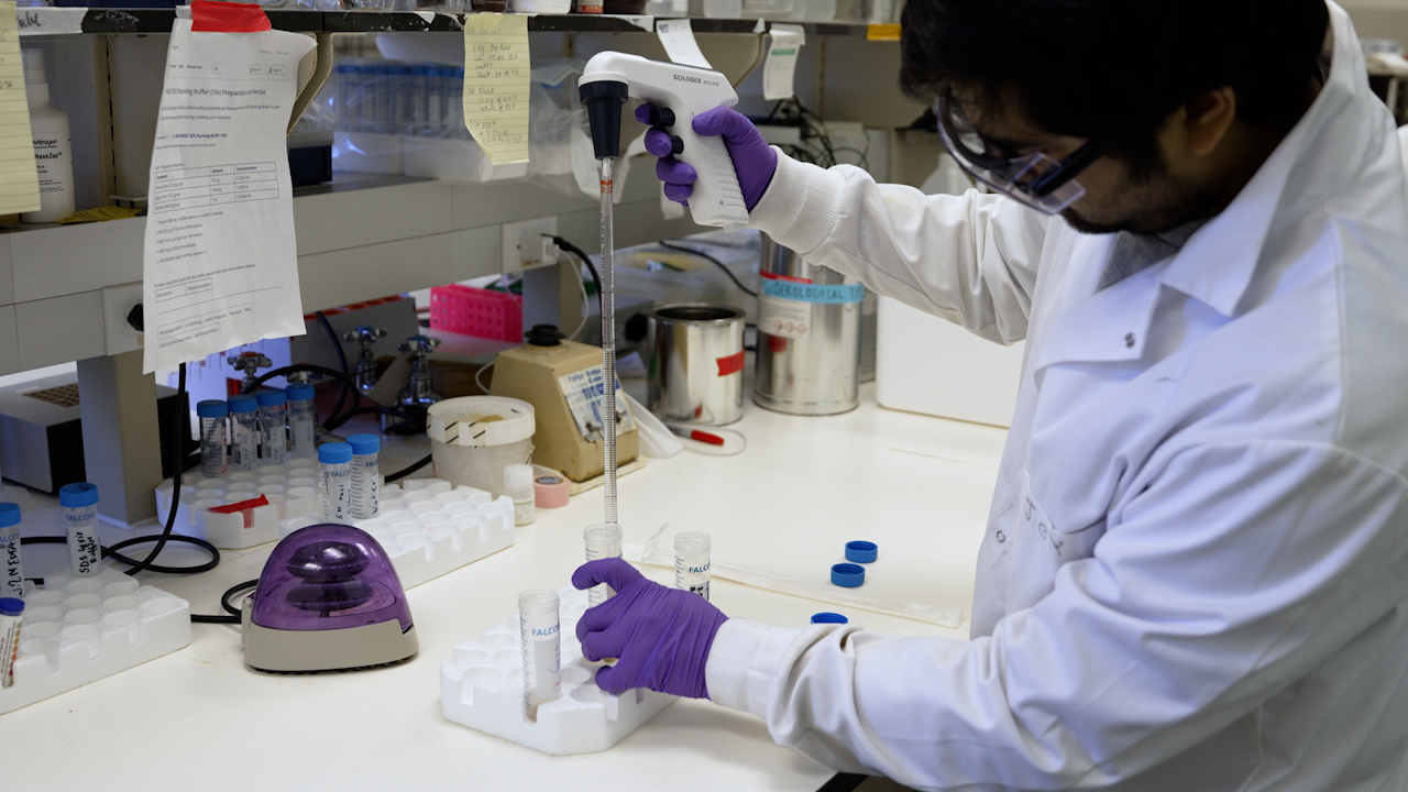 Efficient Purification of Elastin-Like Polypeptides (ELPs) from <em>E. coli</em> Using an Organic Solvent-based Extraction and Precipitation Method